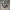 Nike Y2K Sneakers Pria green gray photo 1