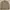 Arnold Palmer Casual Harrington Jacket Pria Tan