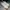 Casual Sneakers Pria green white photo 1