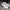 Casual Sneakers Pria Green White