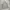 Vintage Casual Puffer jacket Pria cream photo 7