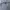 Japanese brand Vintage Streetwear Capes & poncho Pria gray photo 2