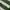Luxury Casual Polo shirt Pria green white photo 3
