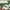 Luxury Casual Polo shirt Pria green white photo 5