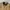 L.L.Bean Vintage Track jacket Pria cream tan photo 5
