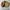 L.L.Bean Vintage Track jacket Pria cream tan photo 6