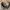 L.L.Bean Vintage Track jacket Pria cream tan photo 4