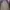 Casual Puffer jacket Pria white photo 1