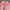 Y2K Minimalist Jeans Pria white pink photo 2