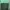 Dickies Sportswear Casual Bag Pria green photo 3
