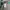 Dickies Sportswear Casual Bag Pria green photo 6