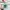 Dickies Sportswear Casual Bag Pria Green