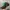 Von Dutch Biker Hat Pria multicolor photo 2