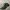 Von Dutch Biker Hat Pria Multicolor