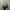 Von Dutch Biker Hat Pria multicolor photo 1
