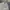 NII Vintage Casual Harrington jacket Pria cream tan photo 4