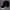 Champion Biker Sportswear Hat Pria black photo 2