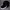 Champion Biker Sportswear Hat Pria Black