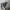 Converse Vintage Y2K Boots Pria purple photo 2