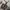 Converse Vintage Y2K Boots Pria purple photo 4
