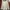 Adidas Sportswear Casual Windbreaker Pria white photo 1