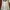 Adidas Sportswear Casual Windbreaker Pria White