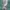 Adidas Sportswear Sweater Pria multicolor photo 5