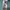 Adidas Sportswear Sweater Pria multicolor photo 4