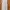 Coquette Minimalist Wanita white photo 2