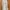 Coquette Minimalist Wanita white photo 1