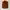 Alternative RNA Y2K Biker Gilet Wanita gold brown photo 4