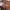 Alternative RNA Y2K Biker Gilet Wanita gold brown photo 5