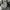 Semantic Design Y2K Luxury Casual shirt Pria silver gray photo 4