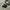 Converse Grunge Casual Sneakers Pria black photo 1
