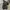 Converse Grunge Casual Sneakers Pria black photo 6