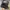 Converse Grunge Casual Sneakers Pria black photo 3