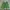 Gramicci Gorpcore Sportswear Short Pria Green