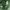 Gramicci Gorpcore Sportswear Short Pria green photo 3