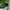 Gramicci Gorpcore Sportswear Short Pria green photo 4
