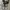 Converse Casual Sneakers Pria white black photo 4