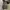 Converse Casual Sneakers Pria white black photo 6