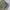 Gramicci Gorpcore Sportswear Short Pria green photo 2