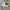 VANS Casual Sneakers Pria white blue photo 1