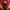 Helly Hansen Sportswear Casual Windbreaker Pria Navy Red