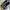 Pierre Cardin Y2K Sneakers Pria black gray photo 1