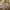 Streetwear Y2K Jeans Pria multicolor tan photo 4