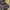 Nike Casual Sneakers Pria multicolor black photo 2
