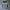 Luxury Gorpcore Leather jacket Pria black gray photo 1