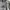 Adidas Sportswear Hoody Pria gray photo 2