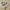 New Balance Casual Sneakers Pria tan photo 1
